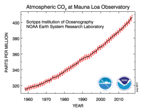 Grafik 3. Pasifik'teki Manua Loa İstasyonu'nda ölçülen C02 değerleri